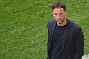 Tedesco-Aus in Belgien! Deutscher Trainer muss vorzeitig gehen