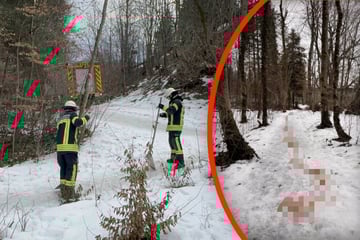 Blutspur im Wald: Bundeswehr-Soldat schwer verletzt gefunden