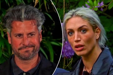 Sommerhaus der Stars: "Sommerhaus"-Streit geht vor Gericht: Hobby-Jäger gegen Veganerin