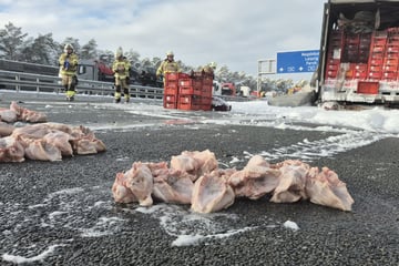 Unfall A: Anhänger voller Hähnchen brennt auf der A10 lichterloh: Lkw-Fahrer reagiert genau richtig