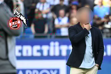 Gremien machen Weg frei: Er soll den 1. FC Köln in der Bundesliga trainieren