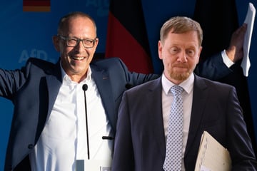 Umfrage-Knaller in Sachsen: AfD erreicht Rekordwert - CDU kollabiert