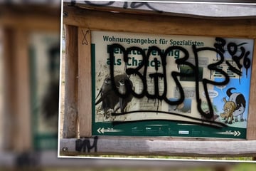 Übler Vandalismus auf Naturlehrpfad: Stiftung hofft auf Spenden nach Graffiti-Attacke