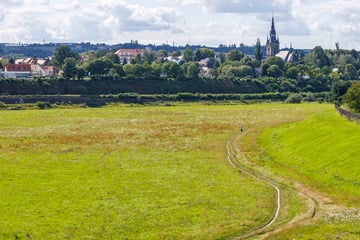 Dresden: Radweg-Lücke in Dresden wird kleiner: Pfad am Elbufer soll asphaltiert werden