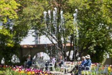 Jetzt wird es warm: Köln und NRW knacken die 20-Grad-Marke