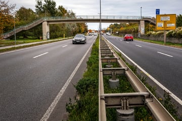 Dresden: Nächste Brücken-Prüfung in Dresden: Hier kommt es zu Behinderungen