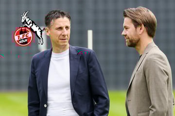 Neuer Boss beim 1. FC Köln: Thomas Kessler wird Sportdirektor