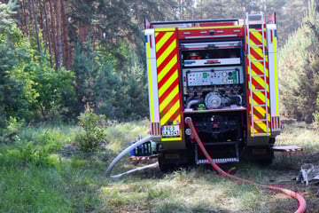 Brand bedroht einen Hektar Jungwald: Feuerwehr stundenlang im Einsatz