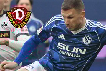 Keine Angst vor Superstar Dzeko! Dynamo auf Schalke mit breiter Brust