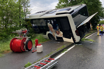 Linienbus kracht gegen Baum: Fahrer und fünf Fahrgäste teils schwer verletzt!