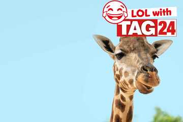 Joke of the Day for February 9, 2026: Animal antics to kick off your week