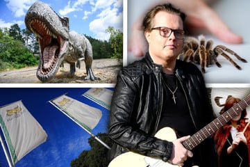 Samstag in Magdeburg: Diese Events warten auf Euch