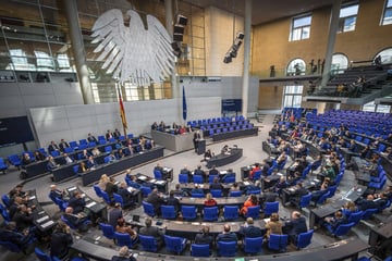 Vorsitz in Bundestagsausschüssen: AfD scheitert mit Klage