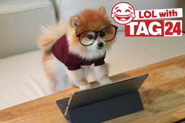 Joke of the Night for March 23, 2026: A National Puppy Day funny!