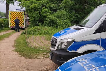 Von Zug erfasst: Frau stirbt beim Pilzesammeln