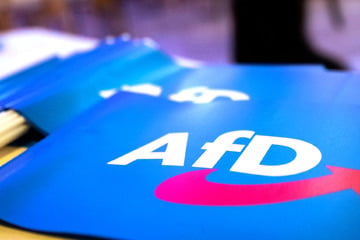 AfD-Stadtrat ruft mehrfach Nazi-Parole an Würzburger Tankstelle: Gericht bestätigt Geldstrafe