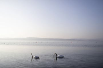 So warm war der Bodensee seit 20 Jahren nicht