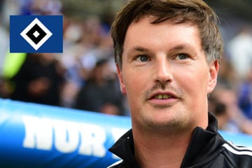"Top-Top-Top-Spiel" gegen den VfB: Wer kann verletzten HSV-Kapitän Remberg ersetzen?