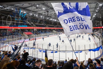 2000 Dauerkarten sind bereits weg: Fan-Boom hält bei den Eislöwen an