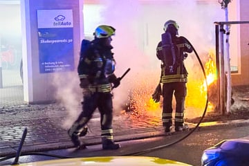 Leipzig: Mülltonnen in Flammen: Feuerteufel am Wochenende in Leipzig unterwegs