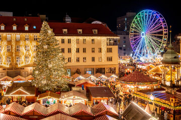 Magdeburger Weihnachtsmarkt und Lichterwelten: Fakten, Fragen und Antworten