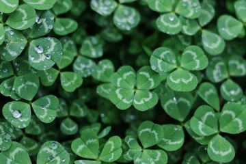 Horoskop morgen: Tageshoroskop kostenlos für den 2.10.2025