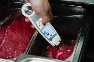 Gammelfleisch lässt grüßen: Lebensmittelcheck in Bayern lückenhaft