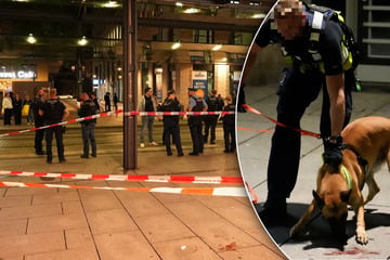 Dresden: Messer-Attacke am Postplatz: Mann schwer verletzt, Tatverdächtiger festgenommen