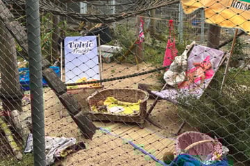 Berlin: Liebe geht durch den Magen: Tierheim zaubert Sommer auf den Grill
