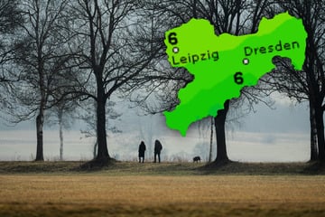 Nebel, Wolken und schließlich auch Sonne: Wochenende in Sachsen wird wechselhaft