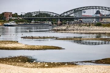 Rheinpegel sinkt auf historisches Tief: Warum der Fluss jetzt neu vermessen wird