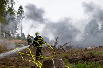 Nach 250 Hektar Waldbrand: Groß angelegte Übung der Feuerwehr