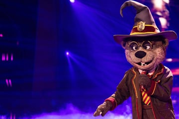 The Masked Singer: Halbfinale bei "The Masked Singer": Internationaler Star steckt in "Harry Otter"