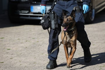 Schulen in Halle bekommen schon wieder Bombendrohung!