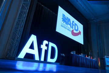Kritik an der AfD: Wird im Bundes- und Landtag Vetternwirtschaft betrieben?