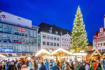 Chemnitz: Es kommt eben doch auf die Größe an: Dieser sächsische Baum hat die Nase ganz weit oben