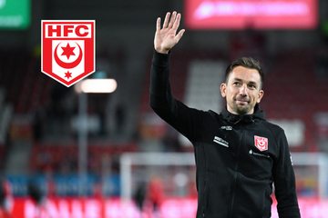 Vor Ost-Duell gegen Dynamo: Hallescher FC feuert Coach Meyer