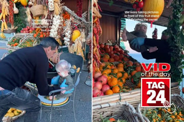 Viral Video of the Day for February 17, 2025: Kind fruit stand owner creates cutest toddler photoshoot ever!