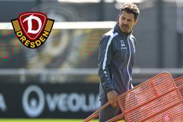 Dynamo-Dresden-Blog: Wann findet das öffentliche Training der SGD-Profis statt?