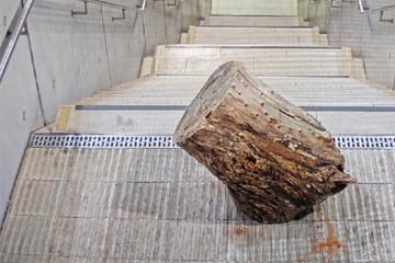 Gefährliche Aktion: Teenies werfen Baumstamm den City-Tunnel runter