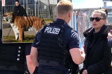 Leipzig: Nach Ausbruch ihres Tigers bricht Carmen Zander ihr Schweigen: "Habe nichts falsch gemacht!"