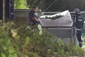 Drei Festnahmen nach Drogenrazzia in Ballenstedt