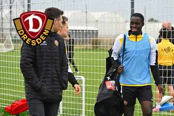 Dynamo-Dresden-Blog: Neue Verhandlungen um Amoako, aber noch keine Einigung!