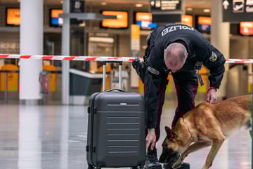 Bombenalarm am Münchner Flughafen: Herrenloser Koffer löst Großeinsatz aus