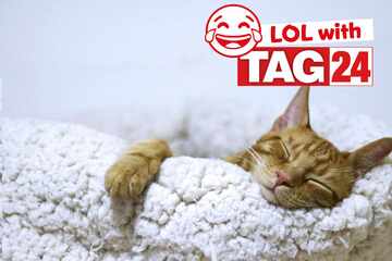 Joke of the Night for May 11, 2024: The best jokes to laugh Caturday away