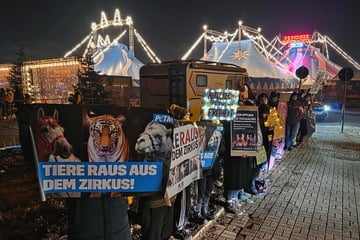 Dresden: Weihnachts-Circus in der Kritik: Tierschützer protestieren gegen Tiere in der Manege