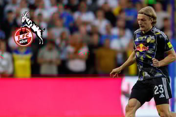 Ex-Spieler und Zweitliga-Stars auf dem Zettel: Schnappt sich der 1. FC Köln gleich drei Neue?