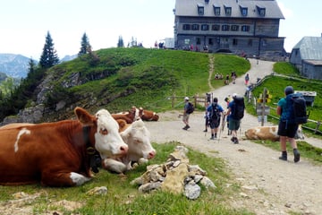 Fristlose Kündigung! Wanderer stehen vor verschlossenem Rotwandhaus