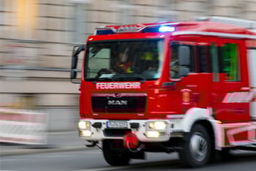 Große Hunde-Rettung bei Feuerwehreinsatz in Freital