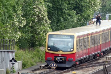 Wegen TikTok & Co.: S-Bahn-Surfen erlebt in Sachsen gefährliches Revival